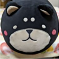 kogeta